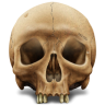 Foto Profil
